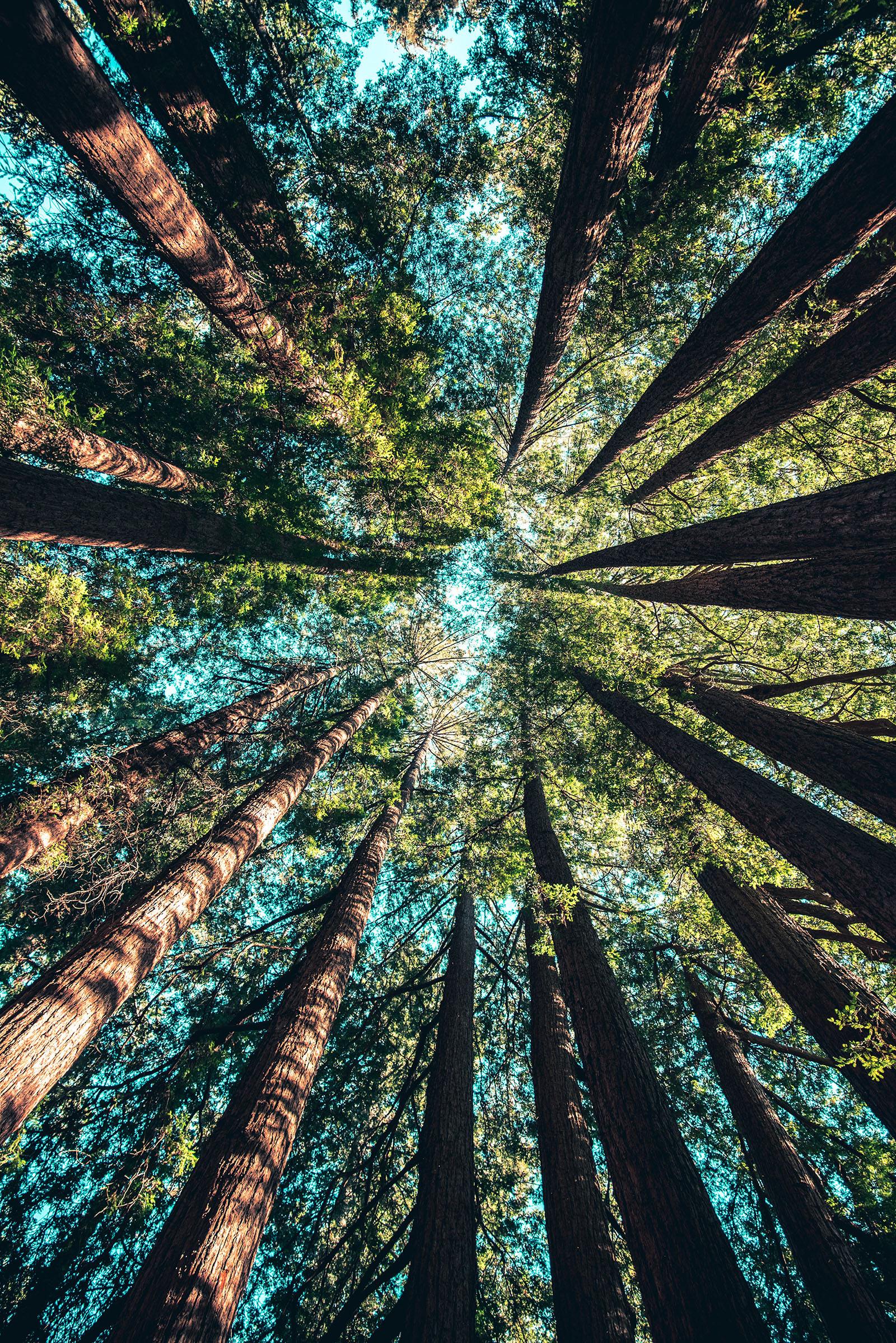 Transformational Listening Circles